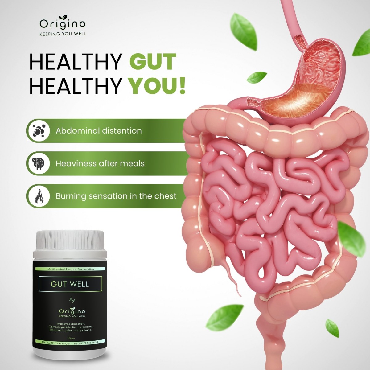 Gut Well — image 3