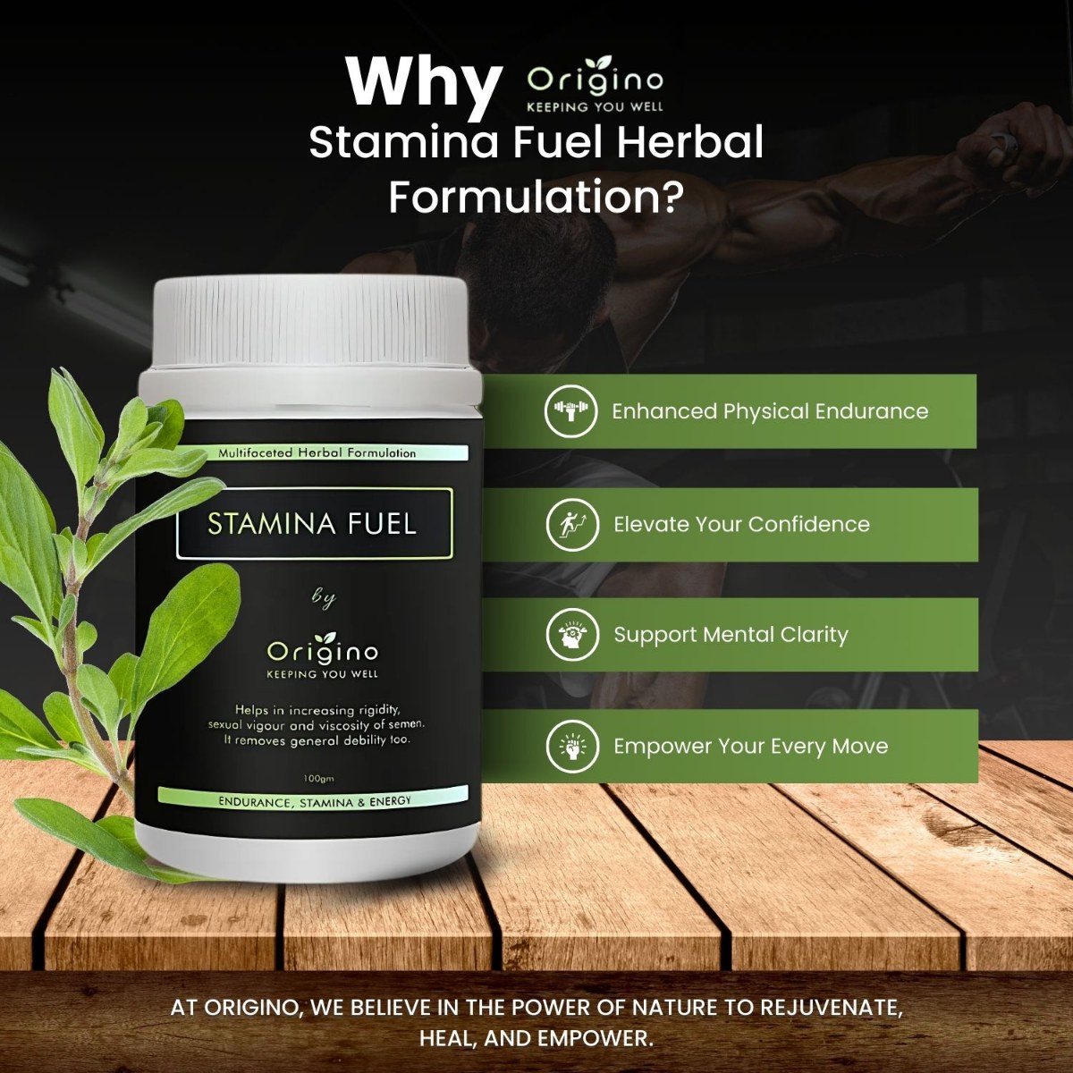 Stamina Fuel — image 4