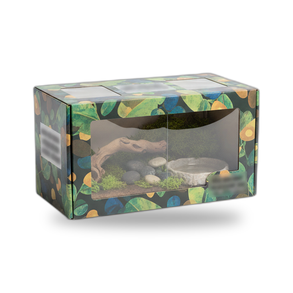 Reptile Amphibian Terrariums